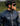 Chaqueta Impermeable Hombre